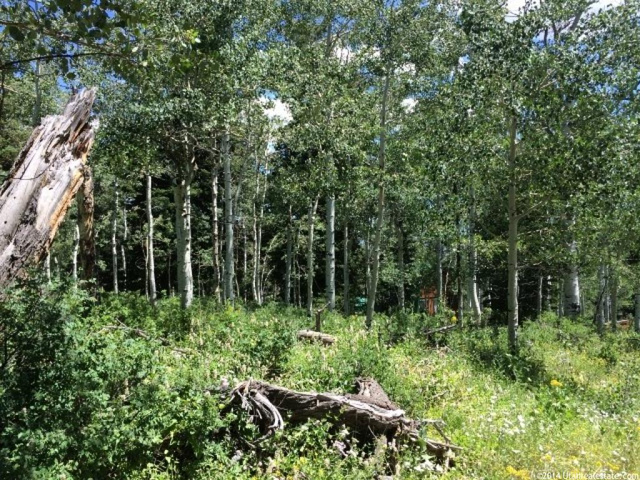 2062 Pine Loop Rd #F-31, Wanship, UT 84017 — photo 6