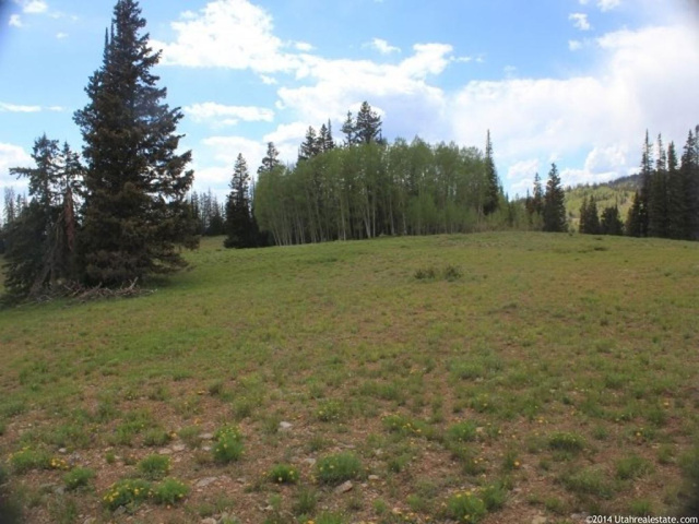 Forest Rd #304, Kamas, UT 84036 — photo 2
