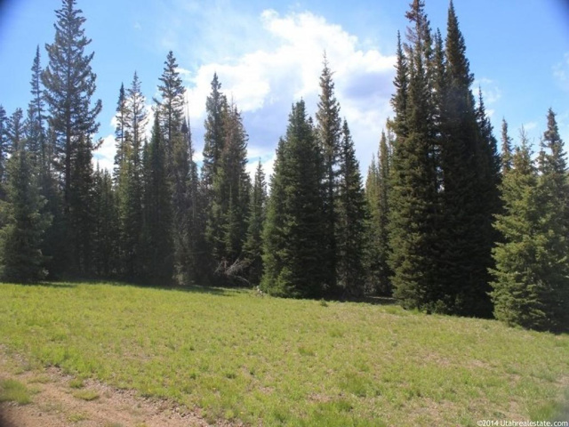 Forest Rd #304, Kamas, UT 84036 — photo 3