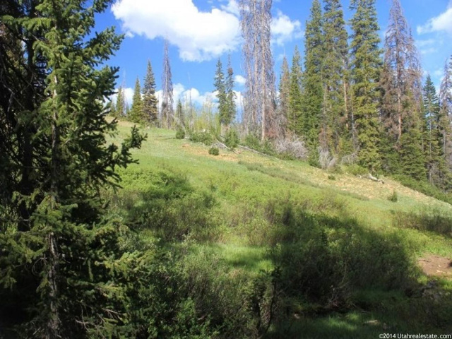 Forest Rd #304, Kamas, UT 84036 — photo 5