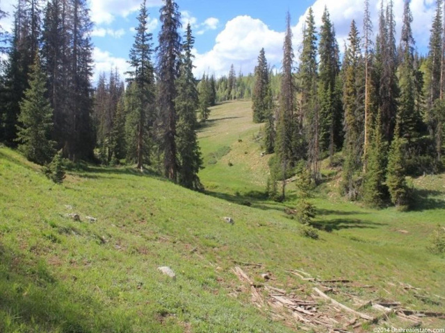 Forest Rd #304, Kamas, UT 84036 — photo 6
