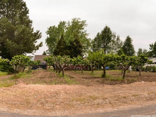 765 E 3000 N #2, North Ogden, UT 84414 — photo 5