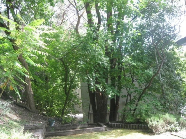 855 E Canyon Rd, Logan, UT 84321 — photo 7
