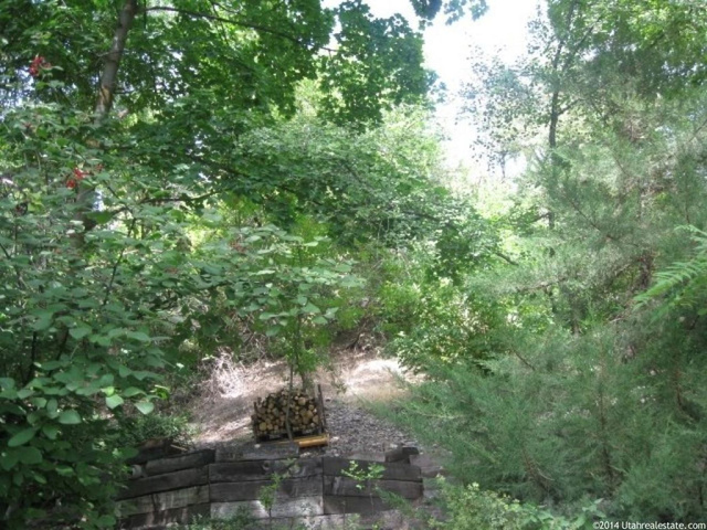 855 E Canyon Rd, Logan, UT 84321 — photo 9