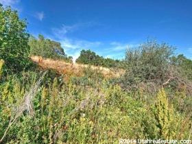 2255 E 5950 N #2, Liberty, UT 84310 — photo 7