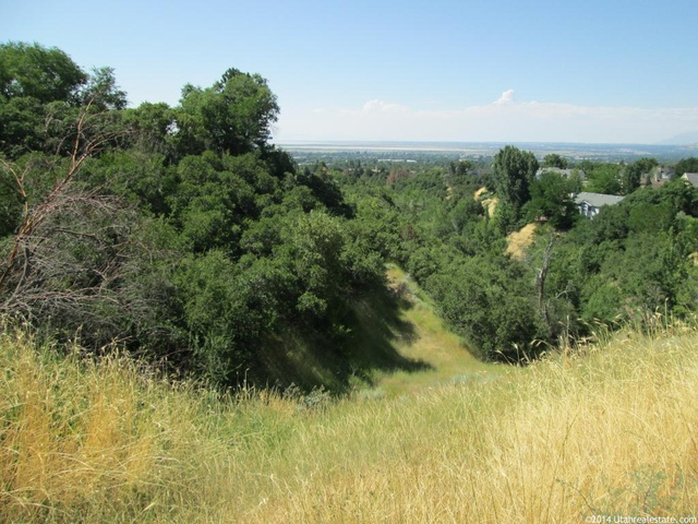 1303 S 700 E, Bountiful, UT 84010 — photo 11