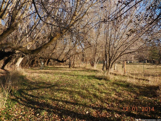 1759 E Ann Dell, Murray, UT 84121 — photo 8
