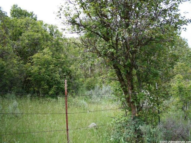 N Short Divide Rd W, Clarkston, UT 84305 — photo 3