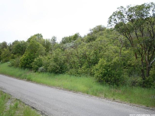 N Short Divide Rd W, Clarkston, UT 84305 — photo 4