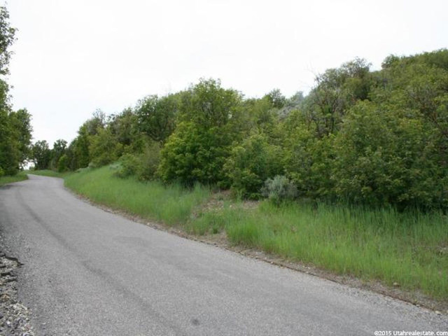 N Short Divide Rd W, Clarkston, UT 84305 — photo 5