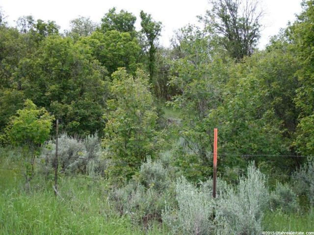 N Short Divide Rd W, Clarkston, UT 84305 — photo 6