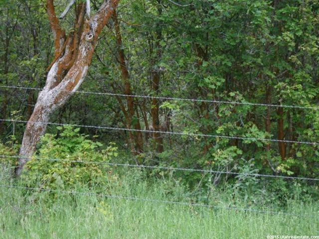 N Short Divide Rd W, Clarkston, UT 84305 — photo 8