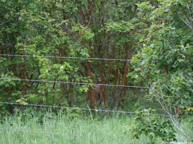 N Short Divide Rd W, Clarkston, UT 84305 — photo 9