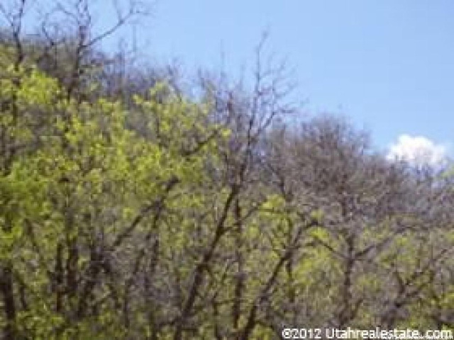 328 E Bern Way S, Midway, UT 84049 — photo 4