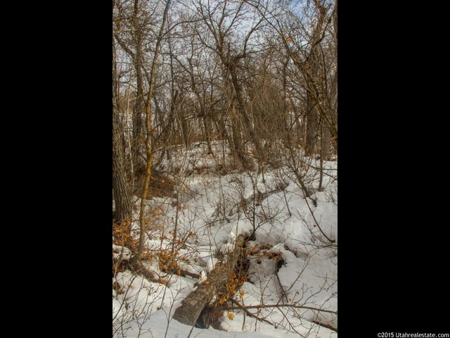 6804 N 2275 E #60, Liberty, UT 84310 — photo 11
