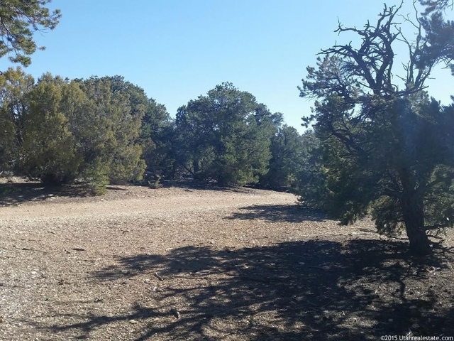 #247, Fruitland, UT 84027 — photo 4