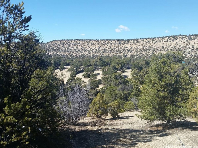 #246, Fruitland, UT 84027 — photo 4