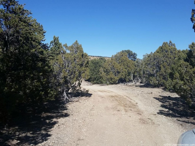 #246, Fruitland, UT 84027 — photo 6