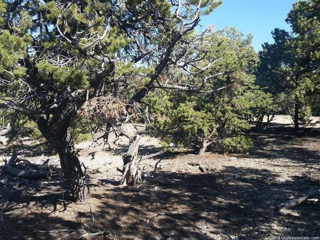 #246, Fruitland, UT 84027 — photo 8