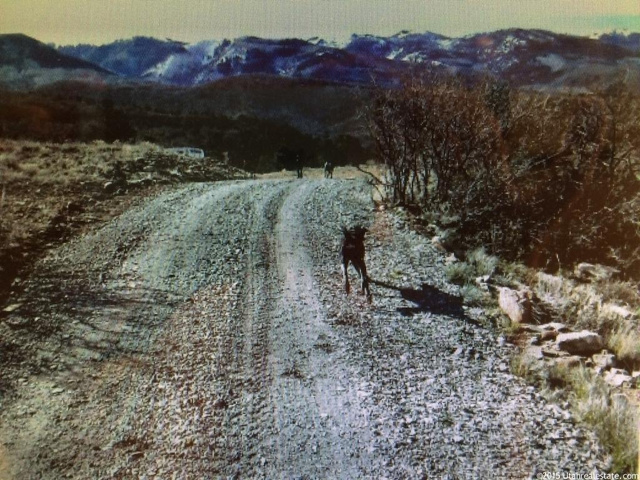 #253, Mt Pleasant, UT 84647 — photo 3