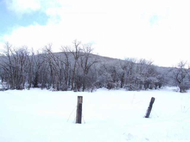 2900 E 4400 N, Liberty, UT 84310 — photo 6
