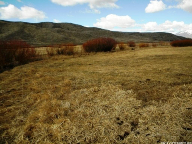 1 N 1 E, Birdseye, UT 84629 — photo 9
