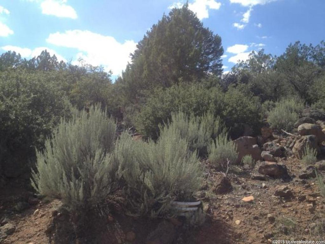 #307, New Harmony, UT 84757 — photo 5