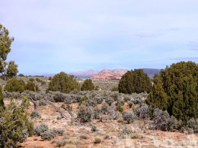 8 Looking Glass Rd, Moab, UT 84532 — photo 11