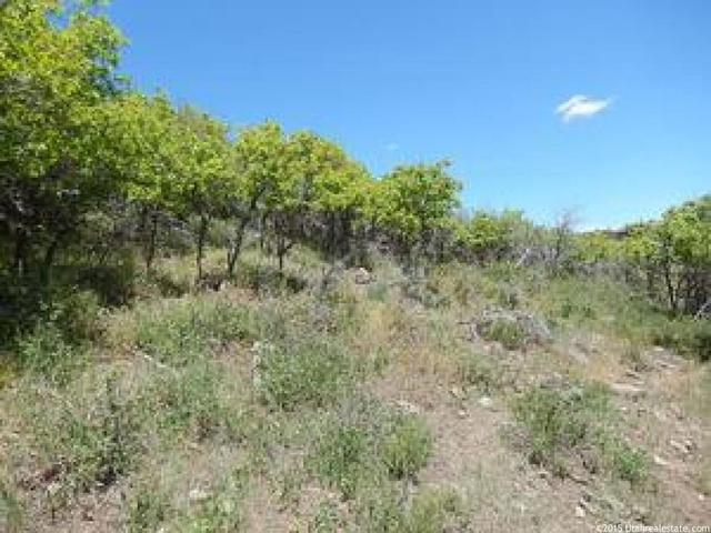 8151 N Sunrise Loop E #DC51, Park City, UT 84098 — photo 8