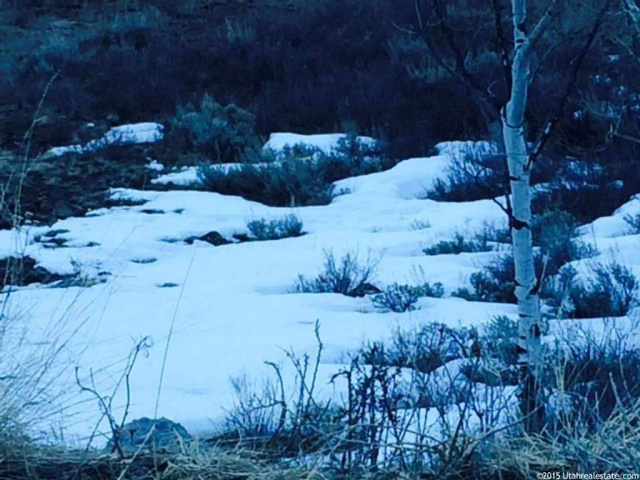 8151 N Sunrise Loop E #DC51, Park City, UT 84098 — photo 10