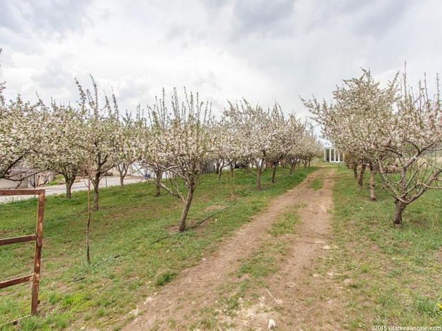 1400 E 8800 S, Paradise, UT 84328 — photo 12