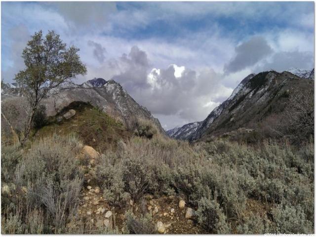 9820 Wasatch, Sandy, UT 84092 — photo 8