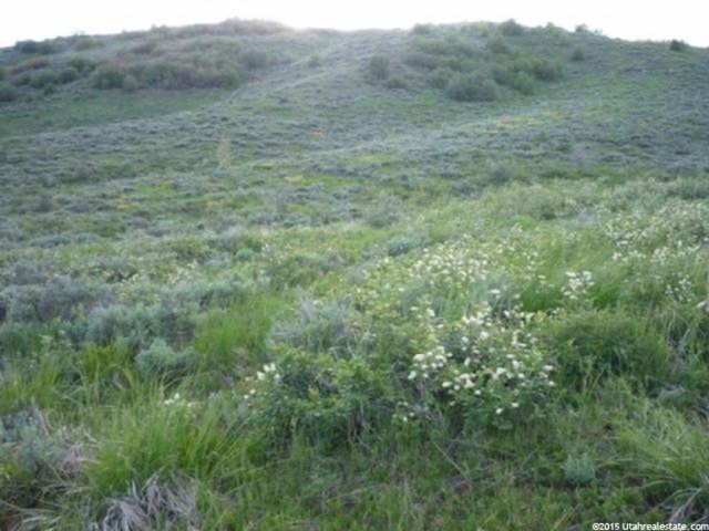 #85, Huntsville, UT 84317 — photo 3