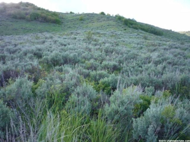#85, Huntsville, UT 84317 — photo 5