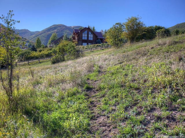 977 Swiss Alpine Rd, Midway, UT 84049 — photo 4