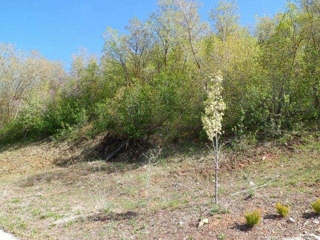 3893 S Mountain Oaks Dr E #310, Bountiful, UT 84010 — photo 4