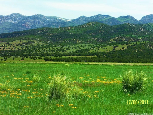 800 N 500 E, Levan, UT 84639 — photo 2