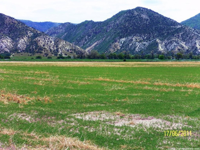 800 N 500 E, Levan, UT 84639 — photo 5