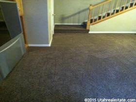 130 E 340 N, Mona, UT 84645 — photo 10