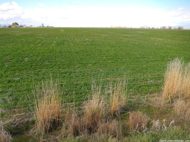 461 E 1600 S #2, Trenton, UT 84338 — photo 4