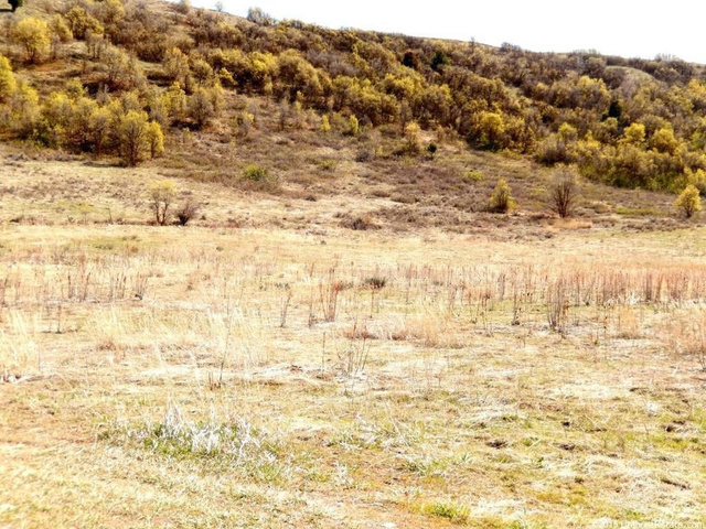 11400 S 1300 E #4, Avon, UT 84328 — photo 3