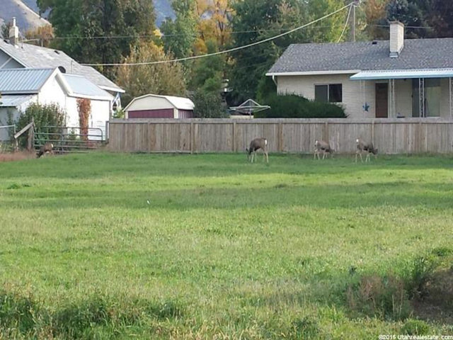 214 E 270 N, Providence, UT 84332 — photo 7