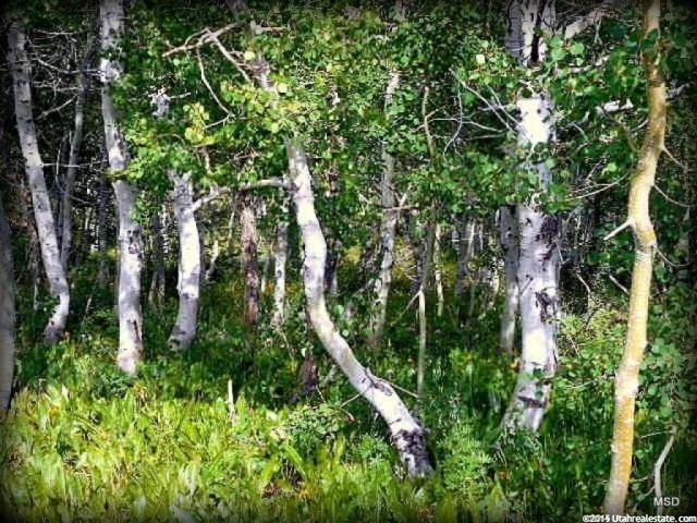 #27, Montpelier, ID 83254 — photo 9
