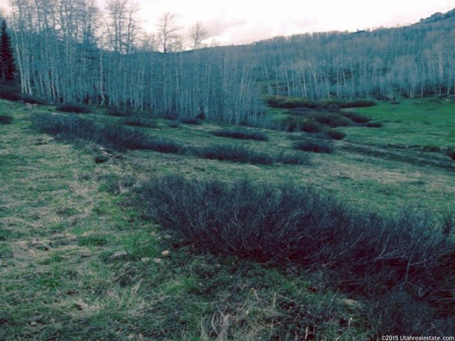 Midway, UT 84049 — photo 3
