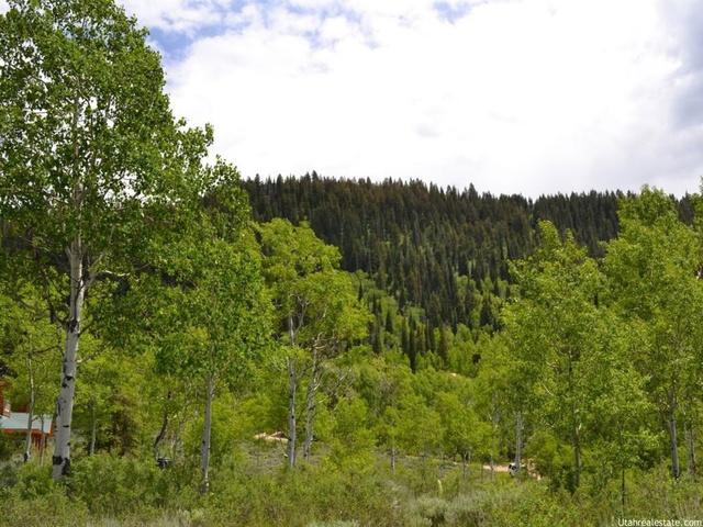 720 Conifer Dr, Oakley, UT 84055 — photo 12