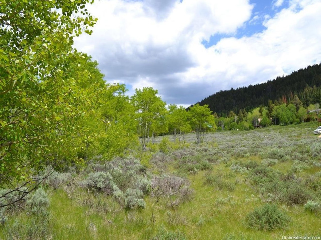 720 Conifer Dr, Oakley, UT 84055 — photo 4