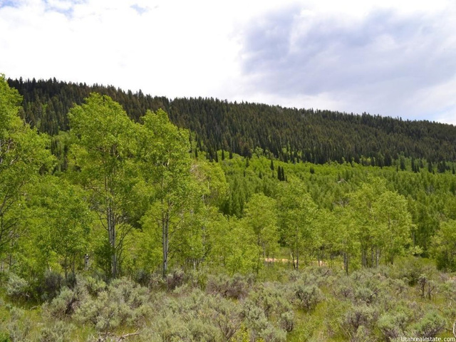 720 Conifer Dr, Oakley, UT 84055 — photo 9