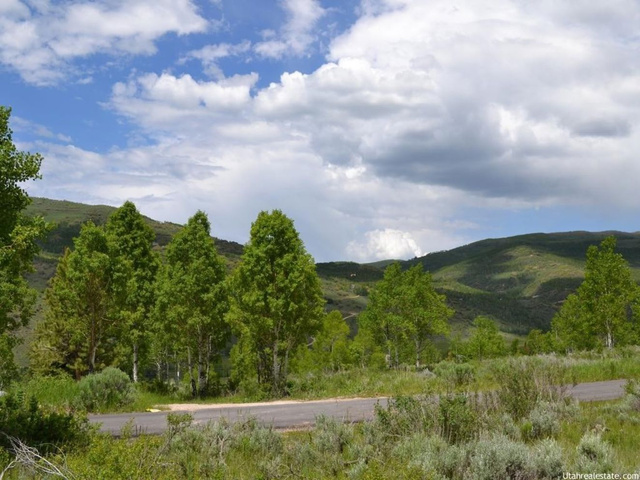 720 Conifer Dr, Oakley, UT 84055 — photo 10