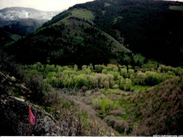 Oakley, UT 84055 — photo 4