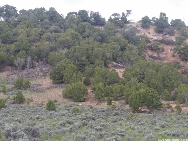 #268, Fruitland, UT 84027 — photo 3